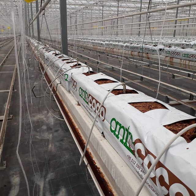 photo_2025-05-05_14-10-39